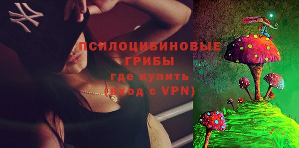 хмурый Покачи