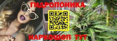 индика Донецк