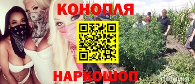 индика Донецк