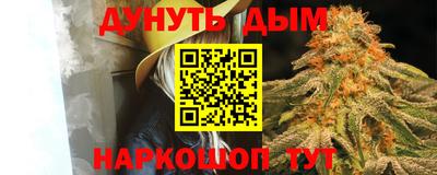 спиды Дубна