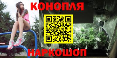 индика Донецк